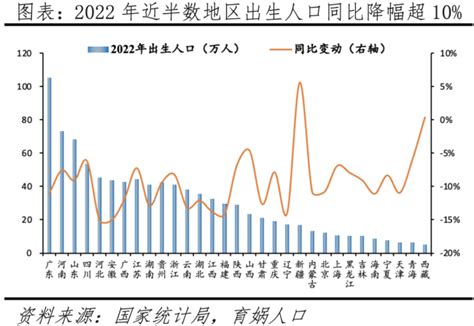 2024 出生|中国人口形势报告2024